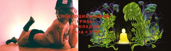 соль ск Сатка