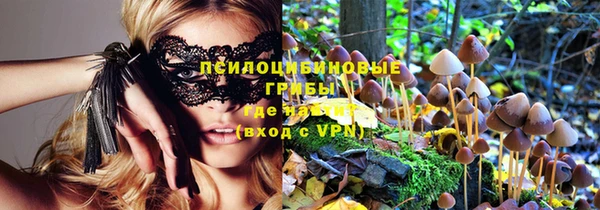 apvp Сафоново