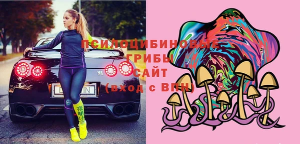 apvp Сафоново