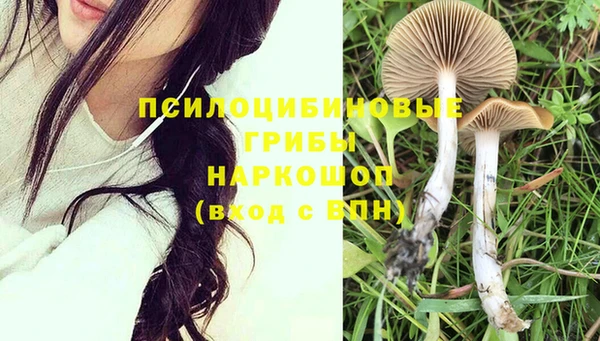 apvp Сафоново
