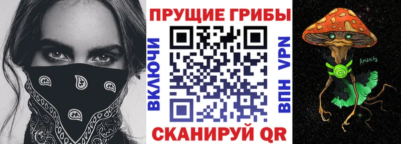 Псилоцибиновые грибы MAGIC MUSHROOMS  OMG как войти  Снежинск 